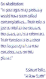 On Meditation: "In past ages they probably would have been called contemplatives... Their role is just as vital as the creators, the doers, and the reformers. Their function is to anchor the frequency of the new consciousness on this planet." Eckhart Tolle, "A New Earth"